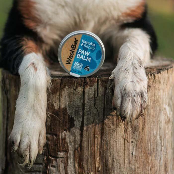 Dog front paws next to WashBar Paw Balm tin – natural paw healing balm for dogs with dry, rough pads.