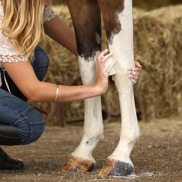 Person using WashBar Horse & Hound Shampoo Bar on horse’s lower legs in barn – gentle cleansing and coat-conditioning bar