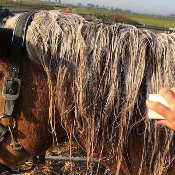 Person washing horse’s mane with Horse & Hound WashBar – deep-clean, all-natural shampoo bar for equine care