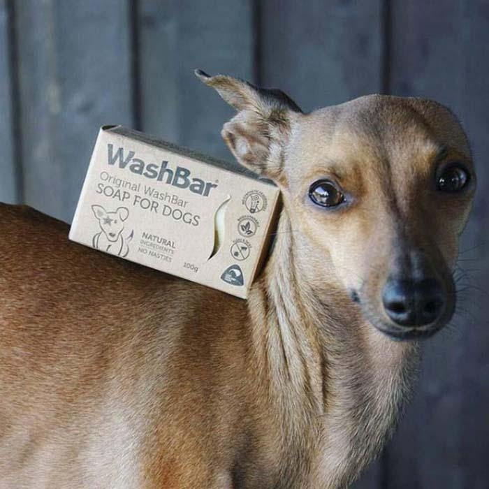 Small brown dog with WashBar Original Soap package resting on its back – gentle, natural shampoo bar for sensitive canine skin.