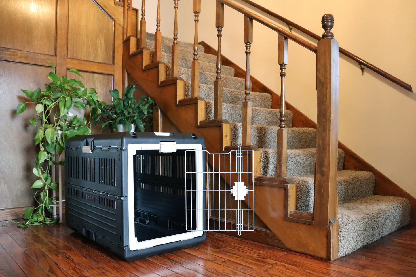 Collapsible Pet Crate Carrier - USA Airline & IATA Approved