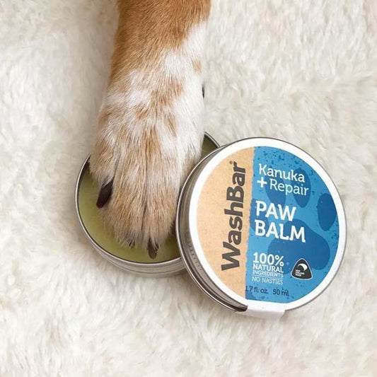 Close-up dog paw resting on WashBar Kanuka + Repair Paw Balm tin – moisturizing treatment for canine pads